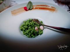 -西郊5号·Maggie 5