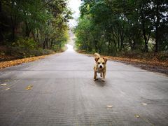 -黄河三峡风景名胜区