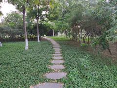 -大港湿地公园