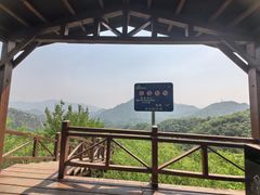 -大岭沟猕猴桃谷风景区