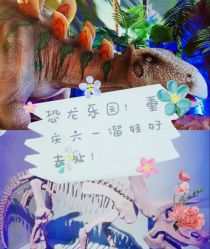 -恐龙探索乐园(磁器口店)
