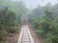 -梧桐山风景名胜区