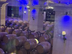 -北京张裕爱斐堡酒庄