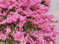 -杭州城北体育公园