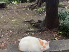-鼓楼(西湖风景名胜区)