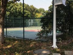 -南京奥林匹克体育中心-体育馆