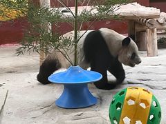 -杭州野生动物世界