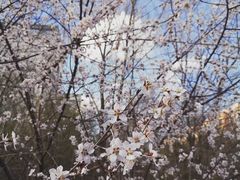 -哈尔滨师范大学(松北校区)