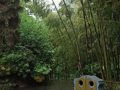 -善卷洞风景区