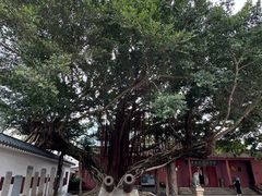 -闽粤南澳总镇府