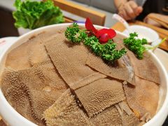 豪渝至尊脆毛肚-豪渝火锅(李家村万达店)