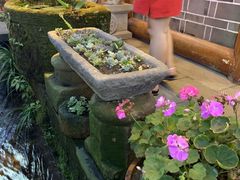 -华冠悠岚·庭院餐厅(青城后山店)