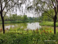 -东郊湿地公园