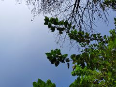 -桤木河湿地公园