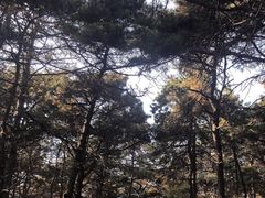 -棋盘山风景区