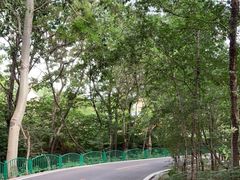 -石家庄市动物园