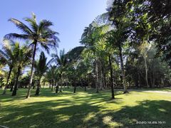 -中国科学院西双版纳热带植物园