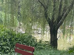 -白鹭湾湿地公园