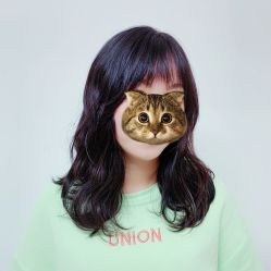 -HairCode芭曲发型