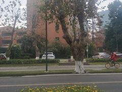 -四川大学(望江校区)