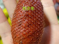 -曼阁市场水果批发市场