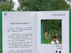 -池杉湖湿地公园