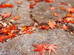 -崂山九水游览区