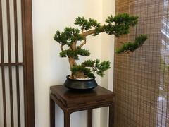 -静雅推拿(鹭洲里店)
