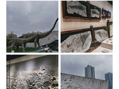 -安徽省地质博物馆