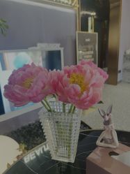 -花隐·美芙炫海菲秀皮肤管理中心