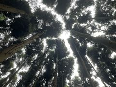 -山王坪喀斯特国家生态公园