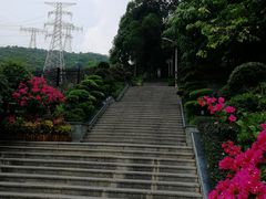 -仙岳公园