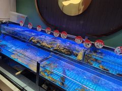 水产区-鸽子侯·家宴·平价海鲜(市图书馆店)