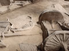 -洛阳周王城天子驾六博物馆