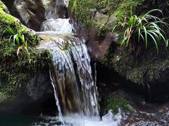 -龙苍沟森林公园