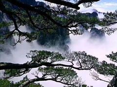 -黄山玉屏楼宾馆餐厅