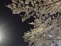 -艾蜜西餐厅(梅园店)