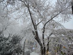 -望庐说·本地菜馆