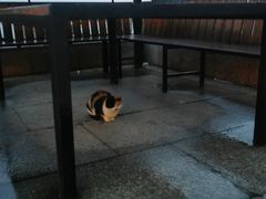 -北京天湖会议中心