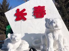 -长春公园(普阳街道)