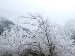 -海螺沟风景区