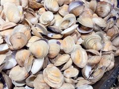 -兴芮温泉度假区