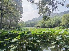 -八卦田遗址公园