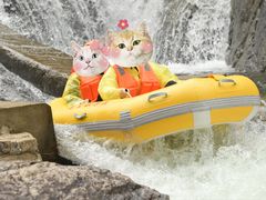 -安吉龙王山峡谷漂流