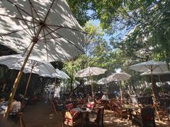 -Fern Forest Cafe