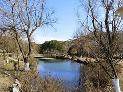 -白马涧龙池景区