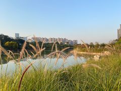 -广西壮族自治区药用植物园