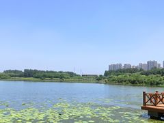 -丁香湖公园
