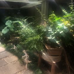 -罗亚帝·NASHOW纳秀形象设计