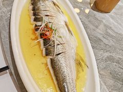 -老绍兴养和饭店(向阳不夜城店)